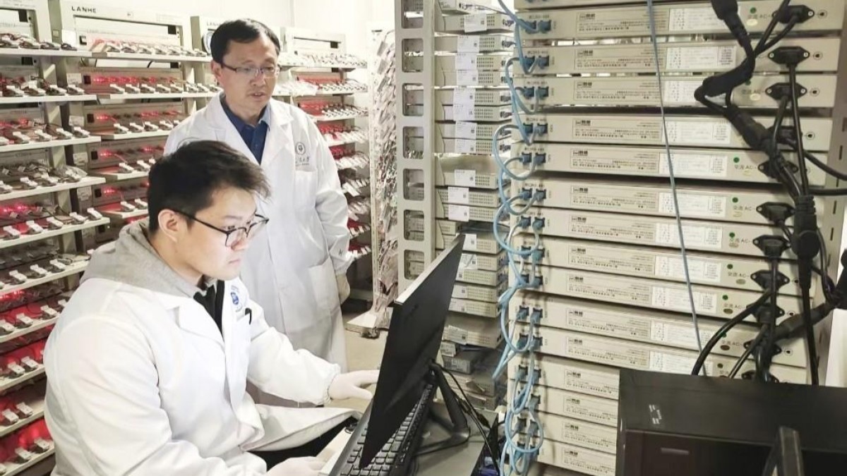 صورة في المقال