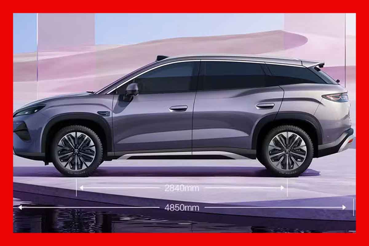 صورة في المقال